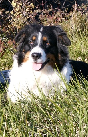 Publication : Of windjana ridge