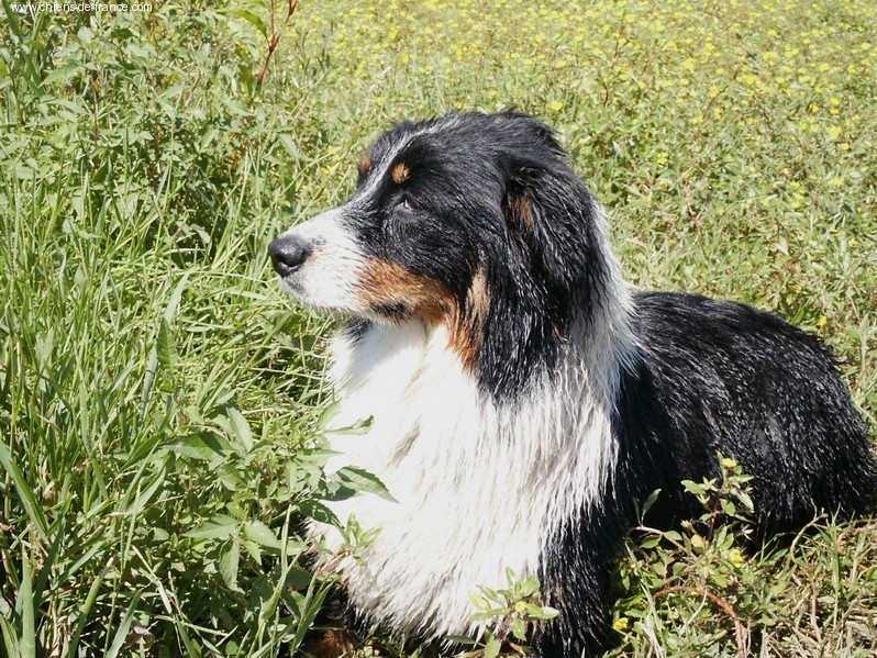 Publication : Of windjana ridge