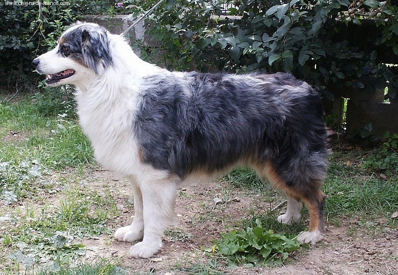 Publication : Of windjana ridge