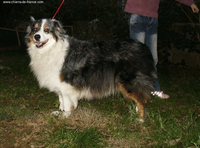 Publication : Of windjana ridge