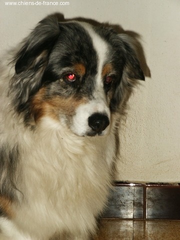 Publication : Of windjana ridge