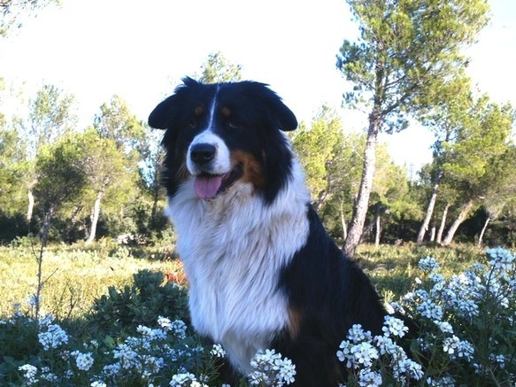 Publication : Of windjana ridge