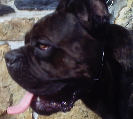 Publication : (Sans Affixe)