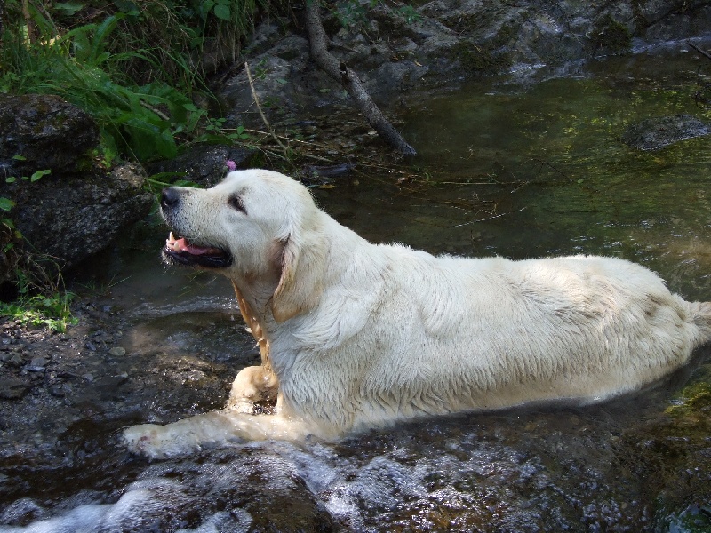 Publication : du Château de l'Amour Auteur : florence perrier