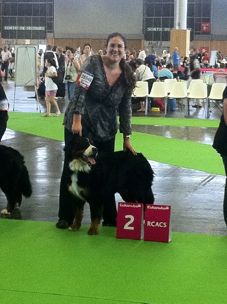 Elendil De la grange aux chênes - 2ème Excellent (21 chiennes)