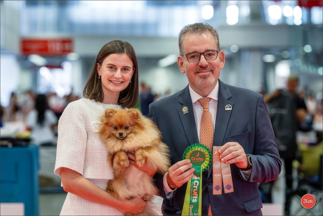 Moxiepoms Barbara Bambi the Princess - 1ere EXELLENTE + JCAC + JCACIB + MEILLEUR JEUNE