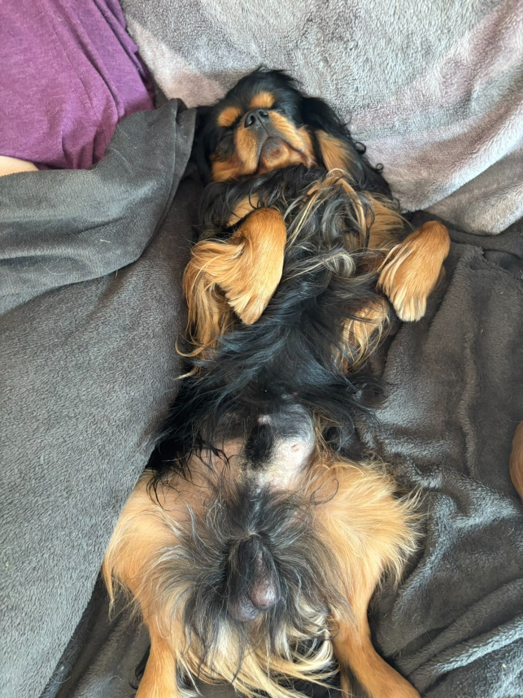 Very good trip Of Sweet Little Kings