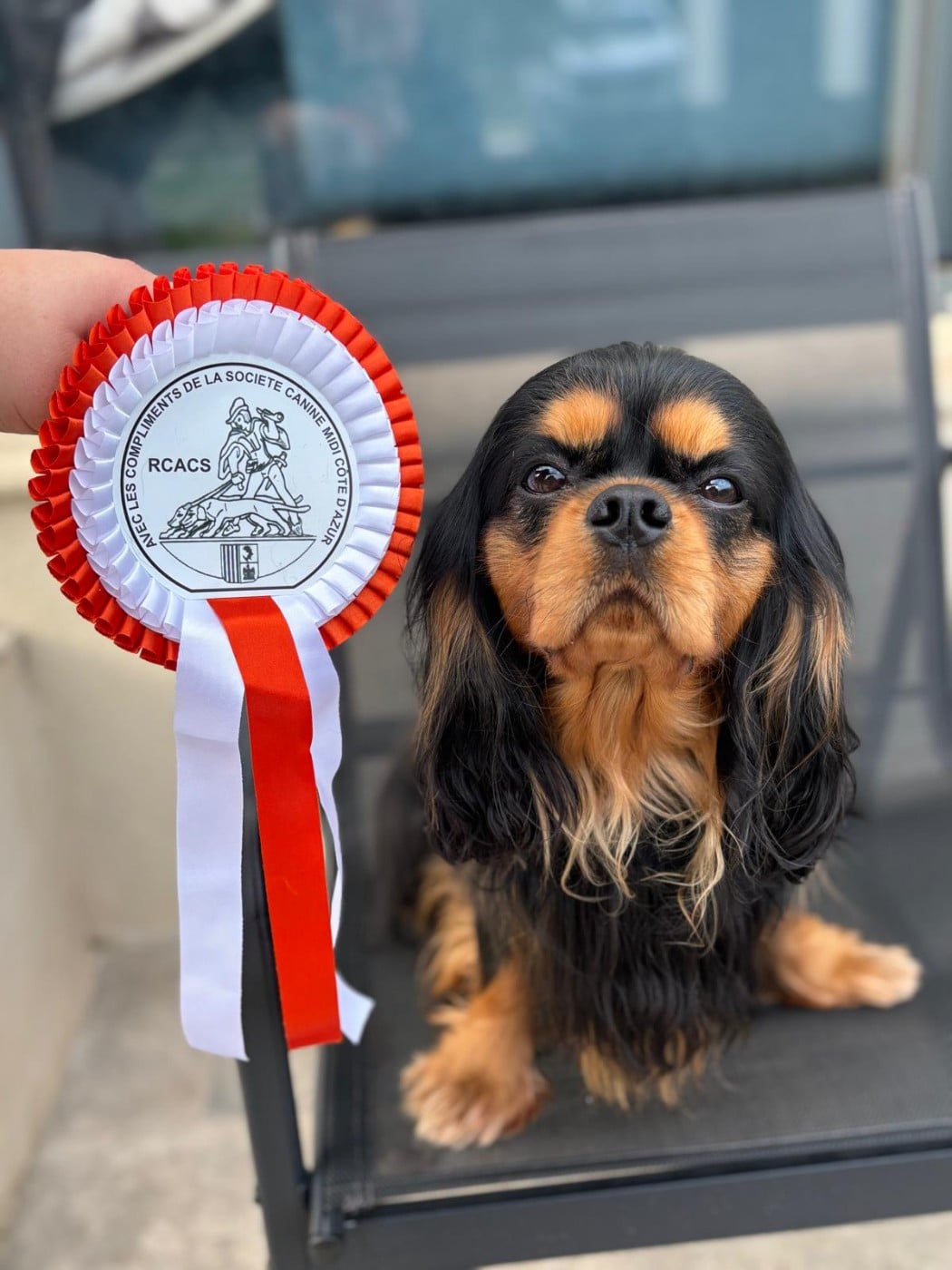 Very good trip Of Sweet Little Kings - 2 ème excellent RCACS