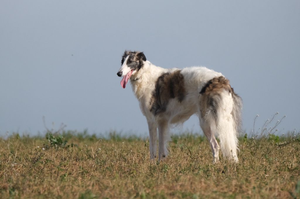 Du grand fresnoy Théthys la déesse