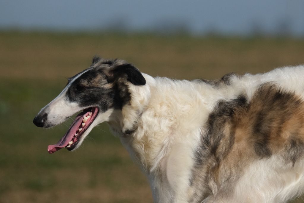 Du grand fresnoy Théthys la déesse