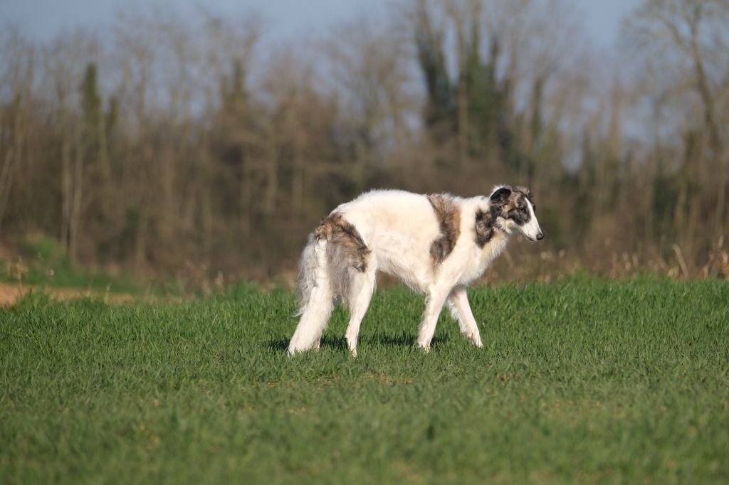 Du grand fresnoy Théthys la déesse