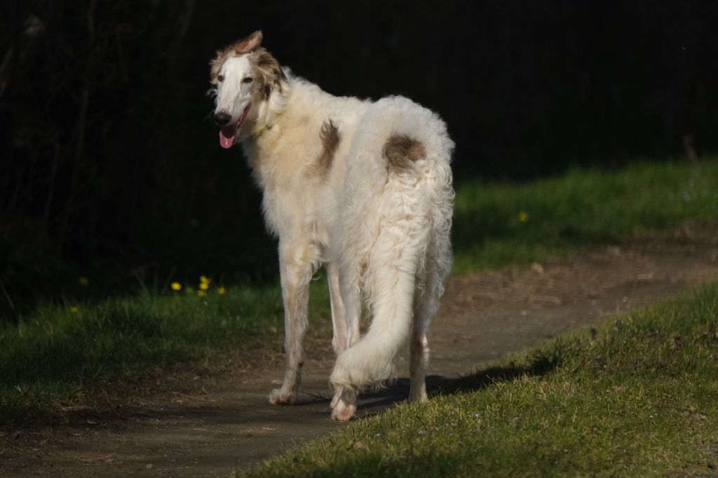 Versailles Du grand fresnoy