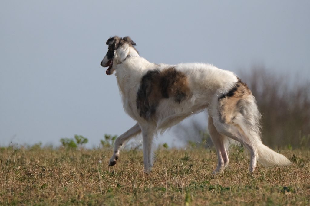Du grand fresnoy Théthys la déesse