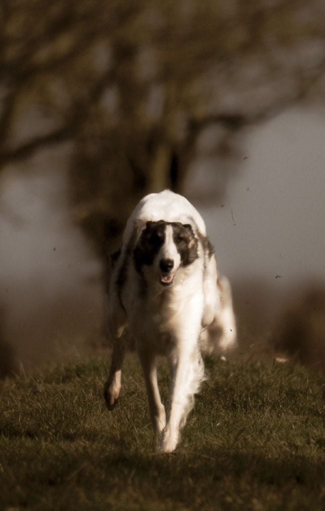 Du grand fresnoy Théthys la déesse