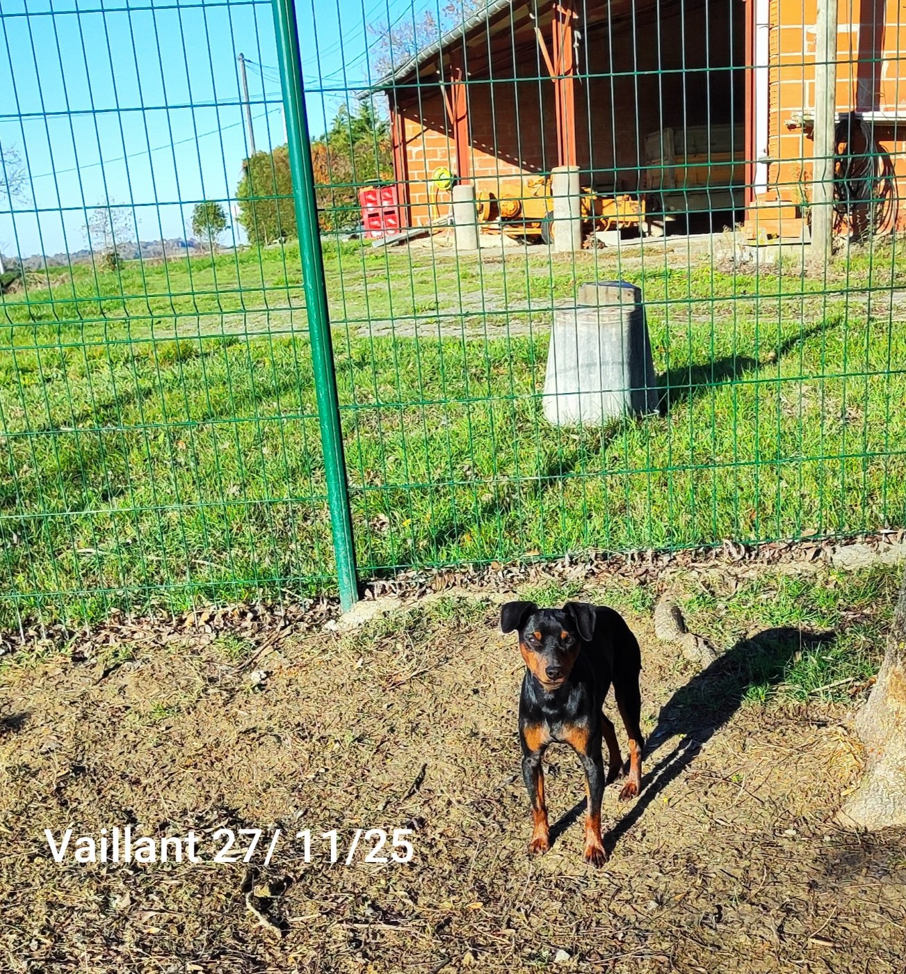 Vti (dit vaillant) (Sans Affixe)