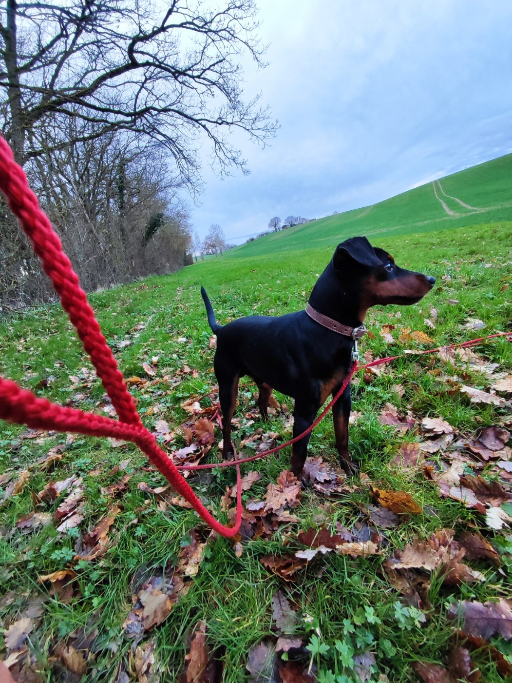 Vti (dit vaillant) (Sans Affixe)