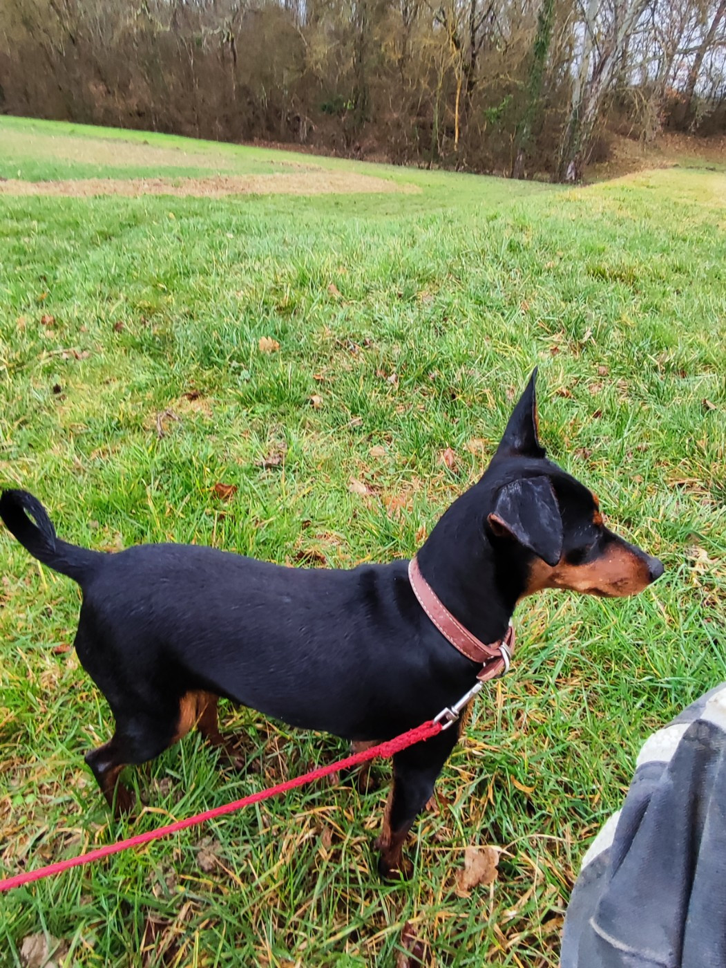 Angel Killer Altesse