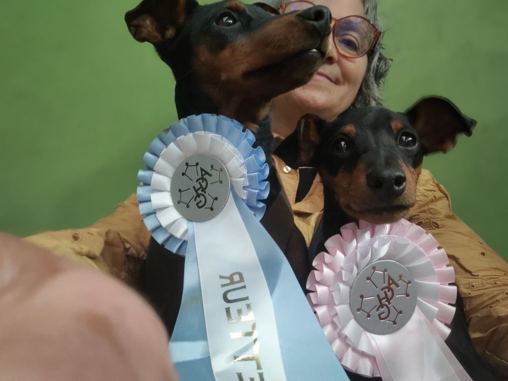 Vti (dit vaillant) (Sans Affixe)