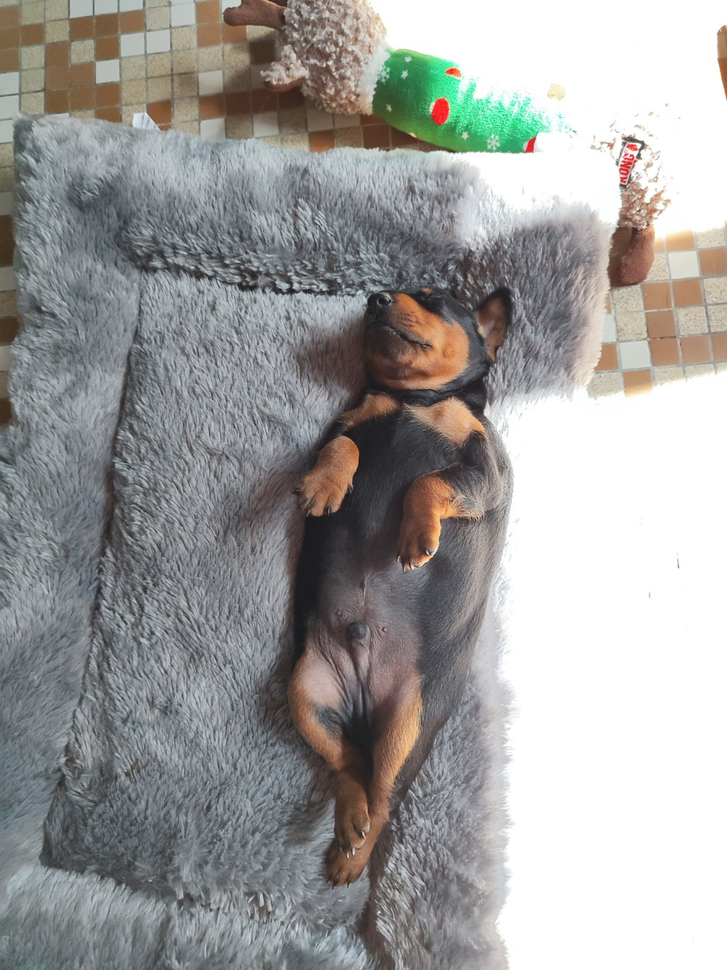 Billy Beau Gosse