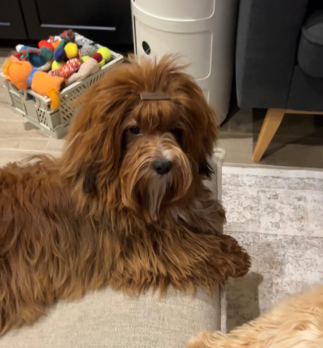 Publication : Des Reflets Du Pays Des Sources