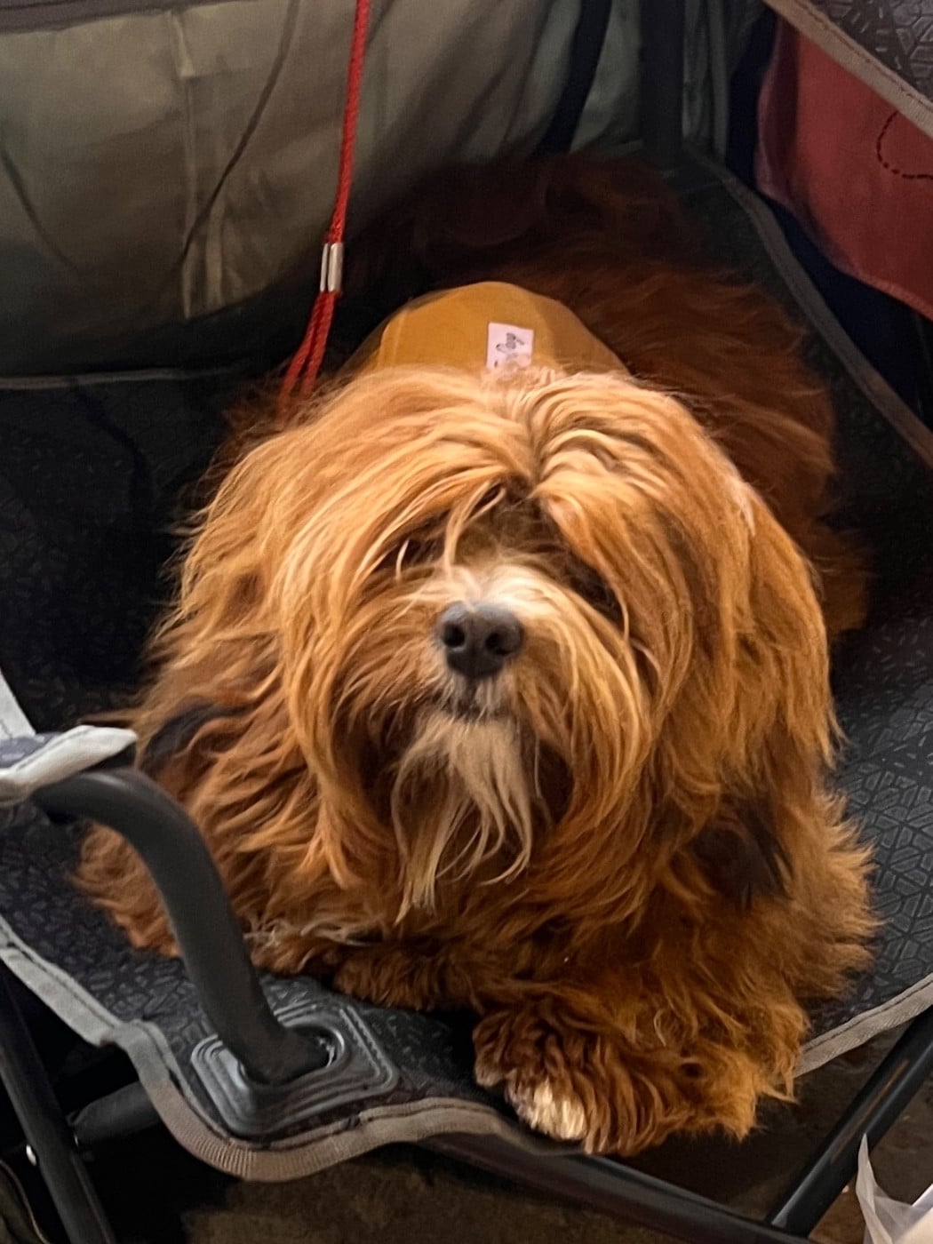 Publication : Des Reflets Du Pays Des Sources