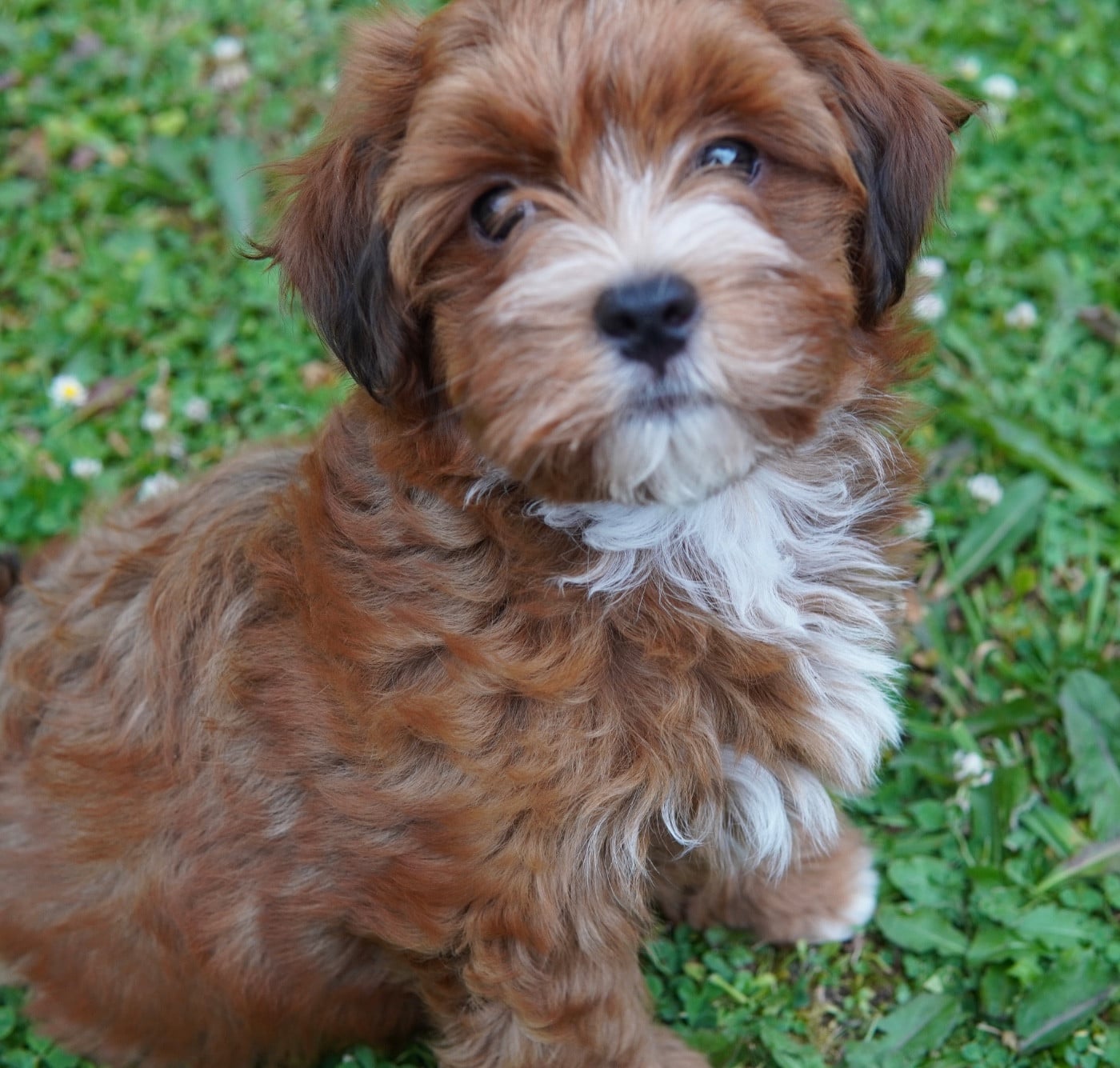 Publication : Des Reflets Du Pays Des Sources