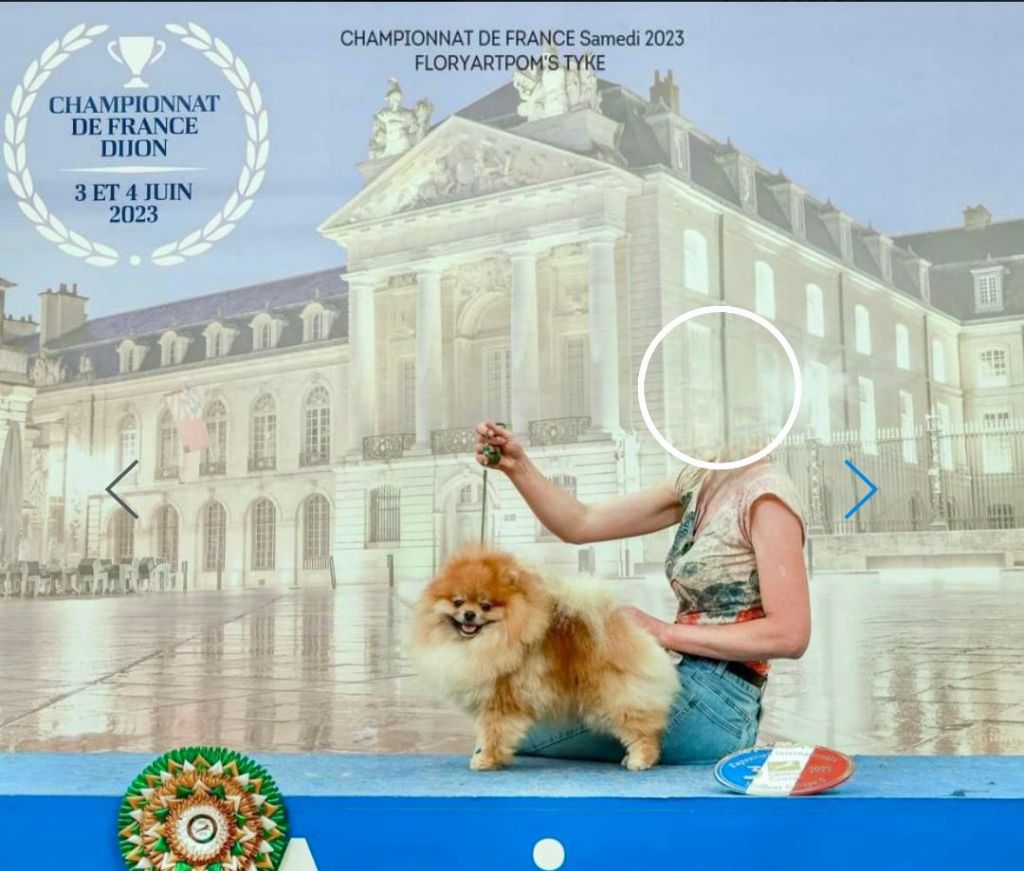 CH. Floryartpom's tyke Jardin de la Petite Etoile