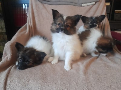 De La Combe De L'Eau