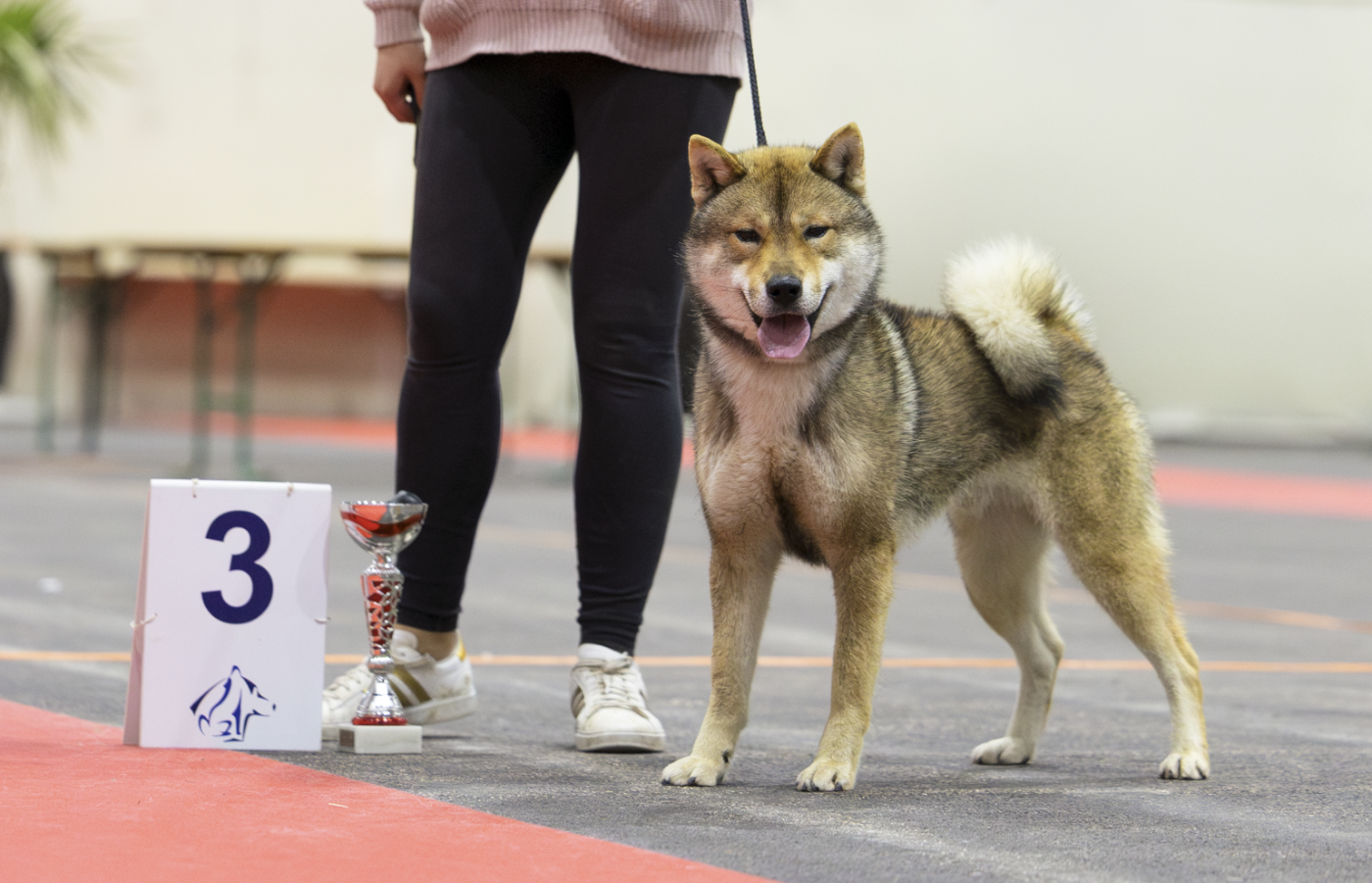 Publication : Kibo No Okami