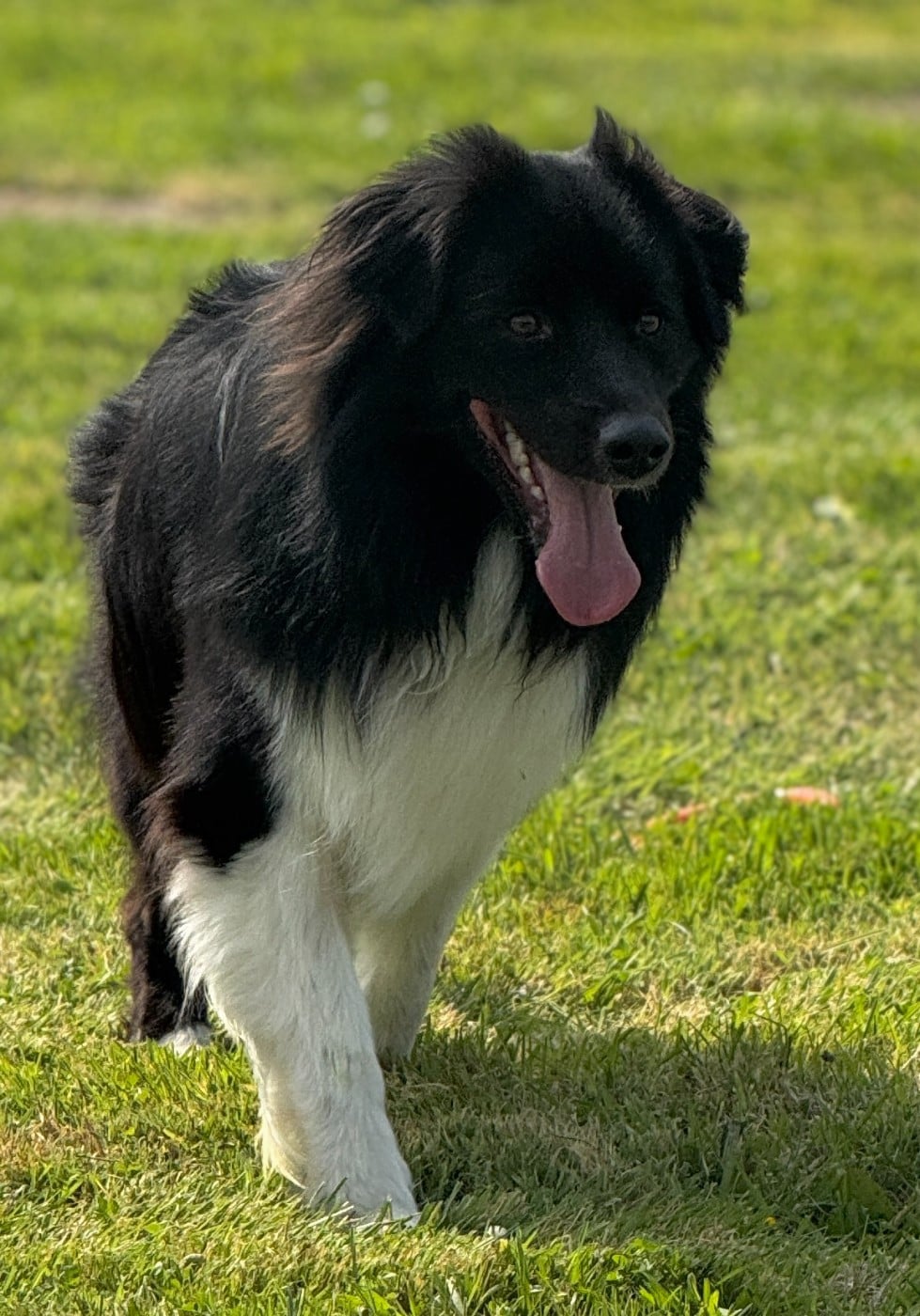 Publication : De Chez Mage Auteur : Céline TWARDOWSKI