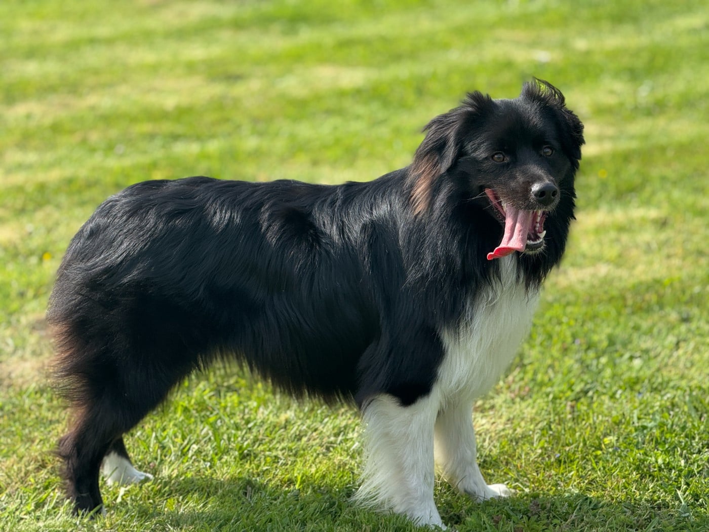 Publication : De Chez Mage Auteur : Céline TWARDOWSKI