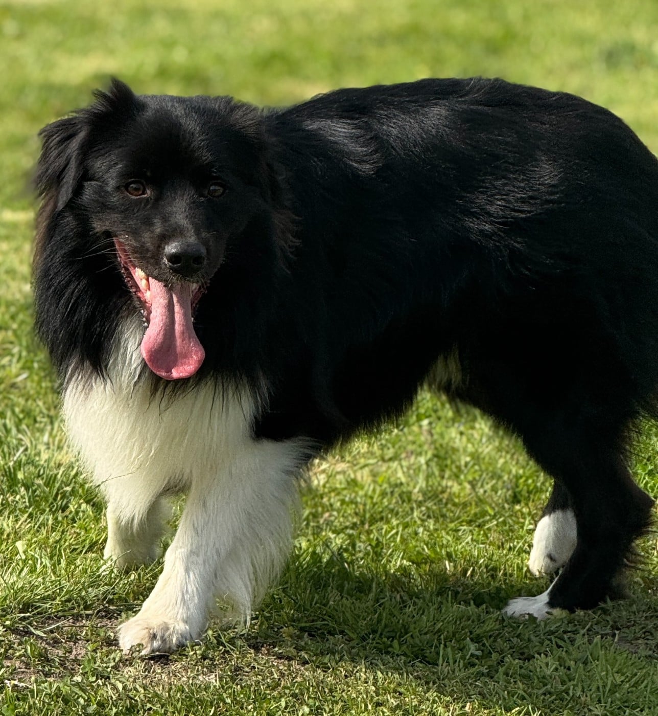 Publication : De Chez Mage Auteur : Céline TWARDOWSKI