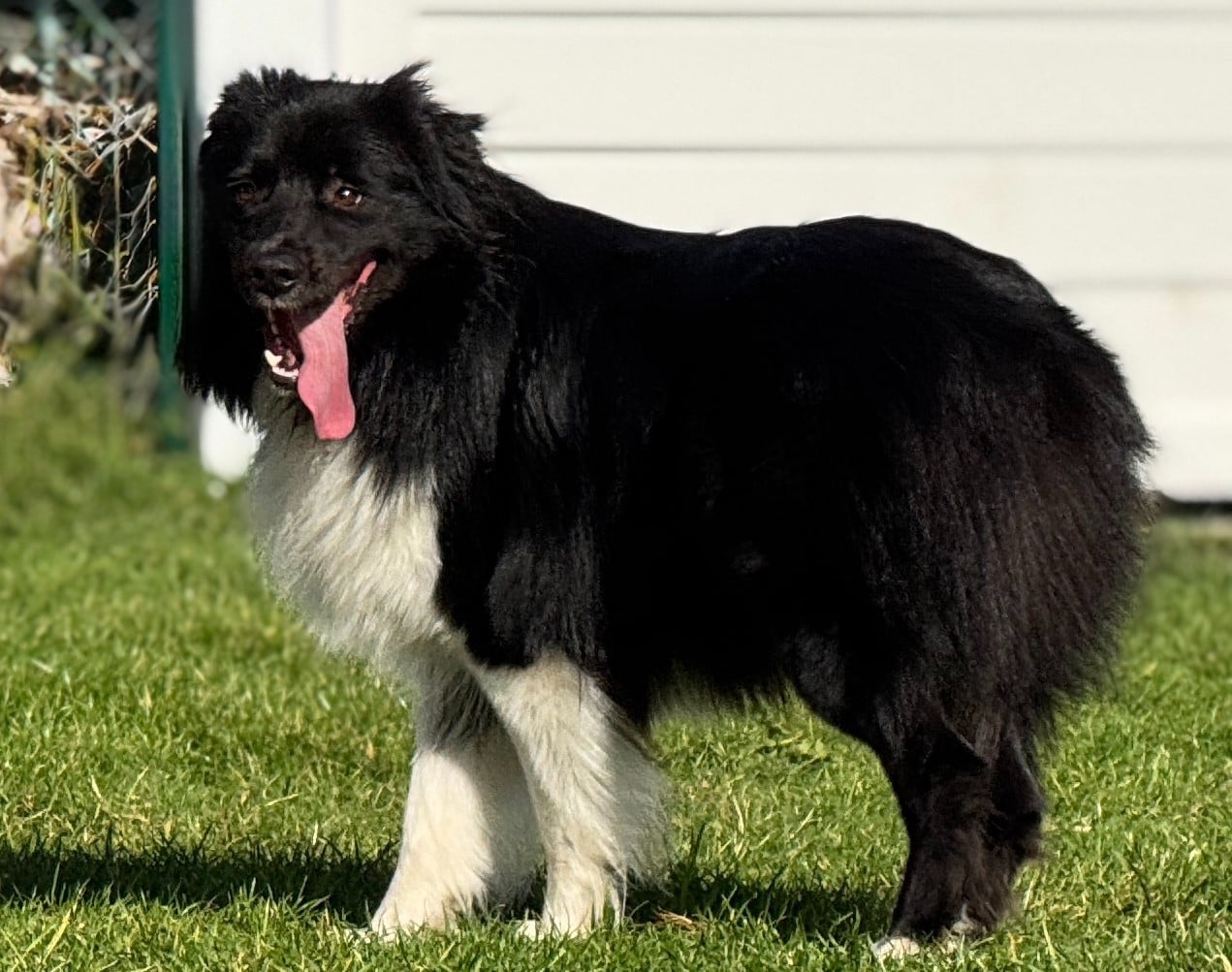 Publication : De Chez Mage Auteur : Céline TWARDOWSKI