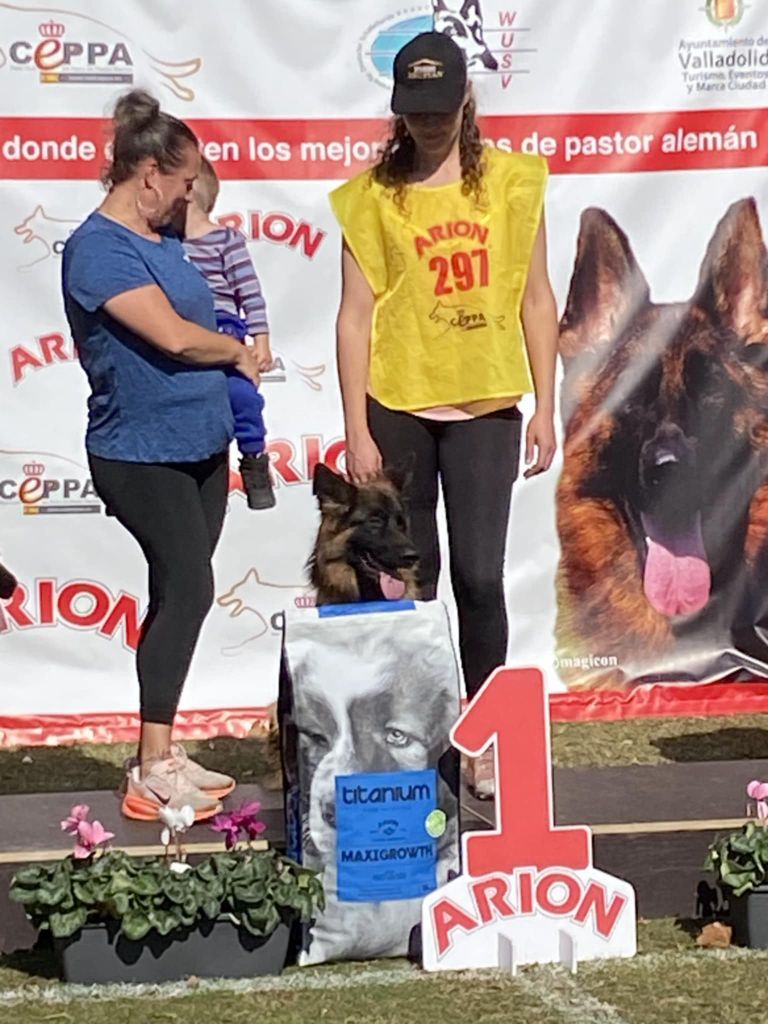 Alluna Des Contes De L'Espoir