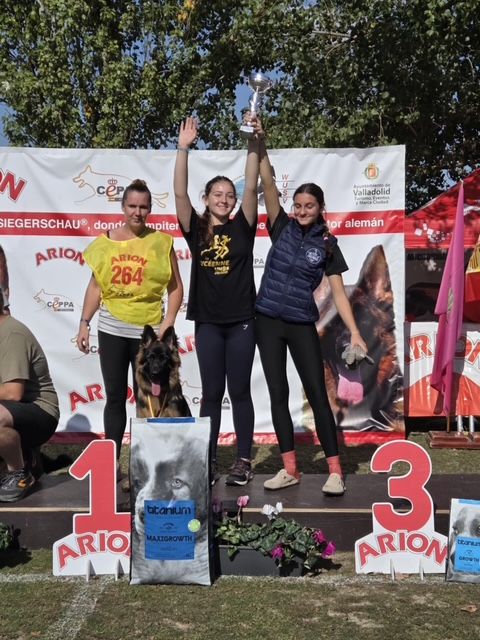 Ares Du Chemin De L'Odon