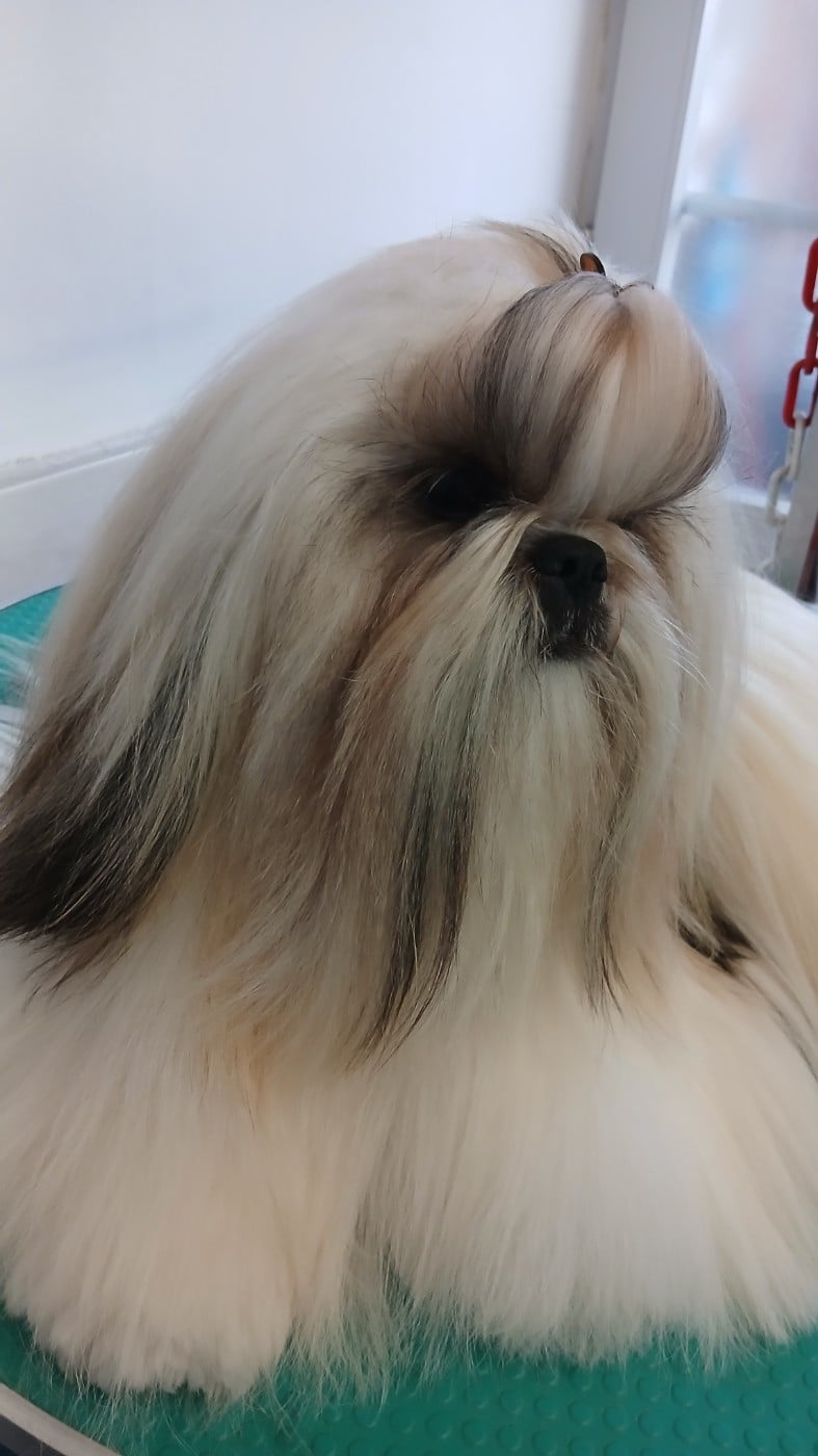 Lawren's Passion A love forever