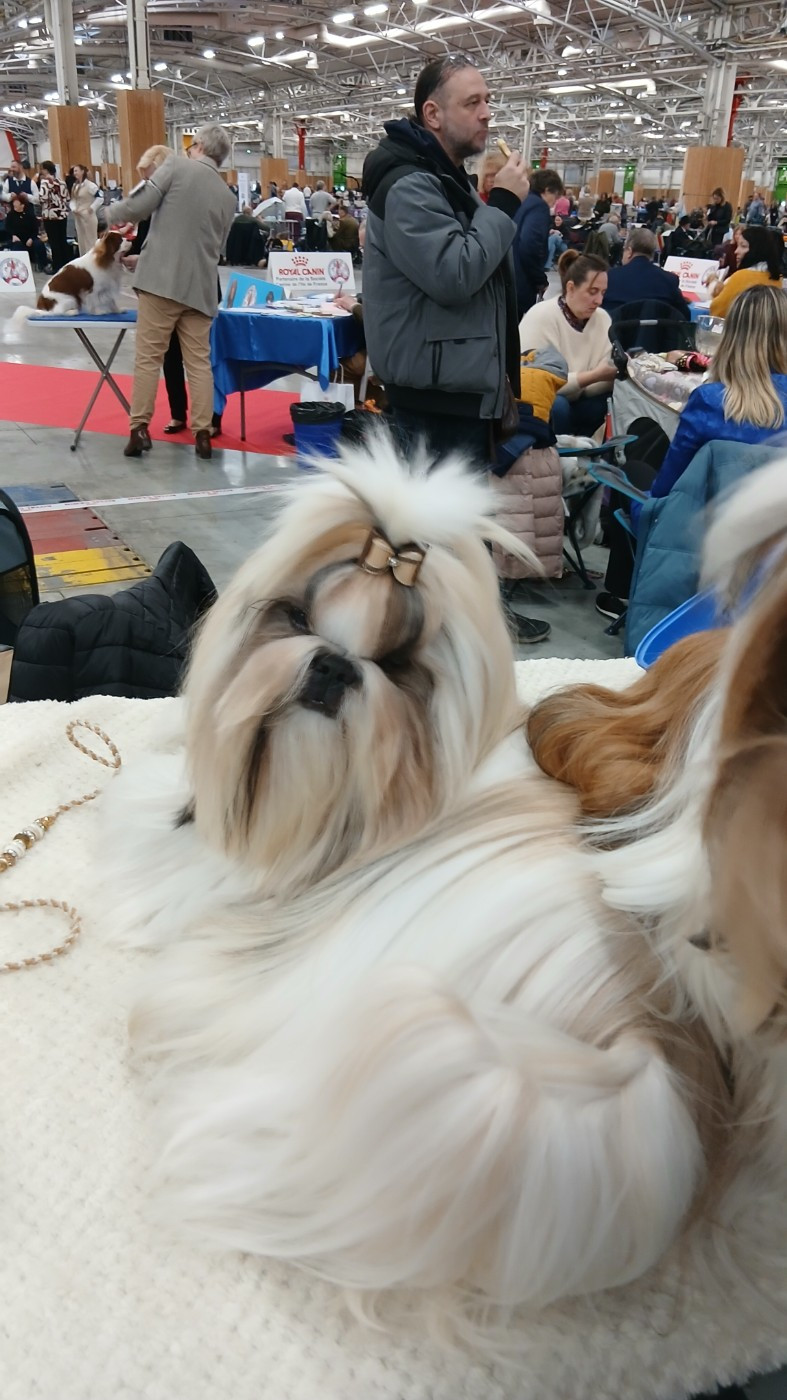 Lawren's Passion A love forever