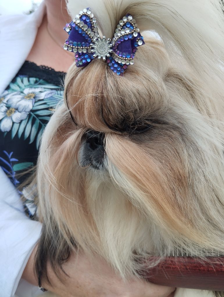 Ultime beauté Made In Albizzia