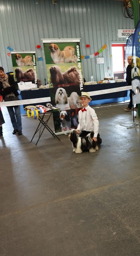 Ultra belle Made In Albizzia