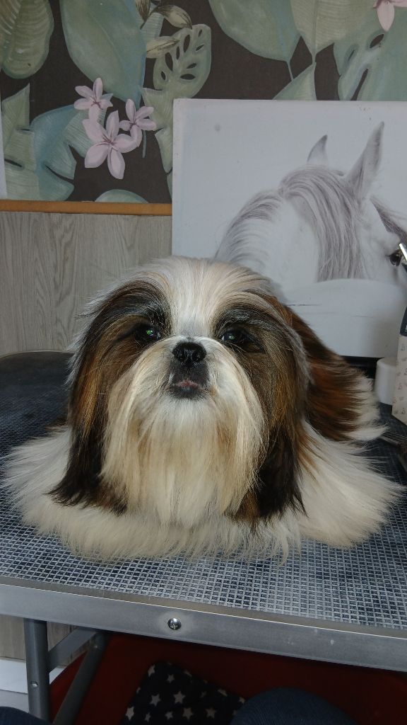 Valentine Du Paradis D'indiana