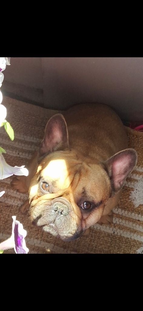 Publication : Marina PLOMION Auteur : Marina PLOMION