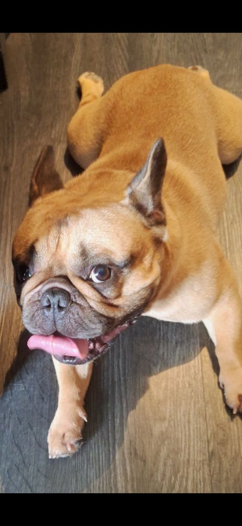 Publication : Marina PLOMION Auteur : Marina PLOMION