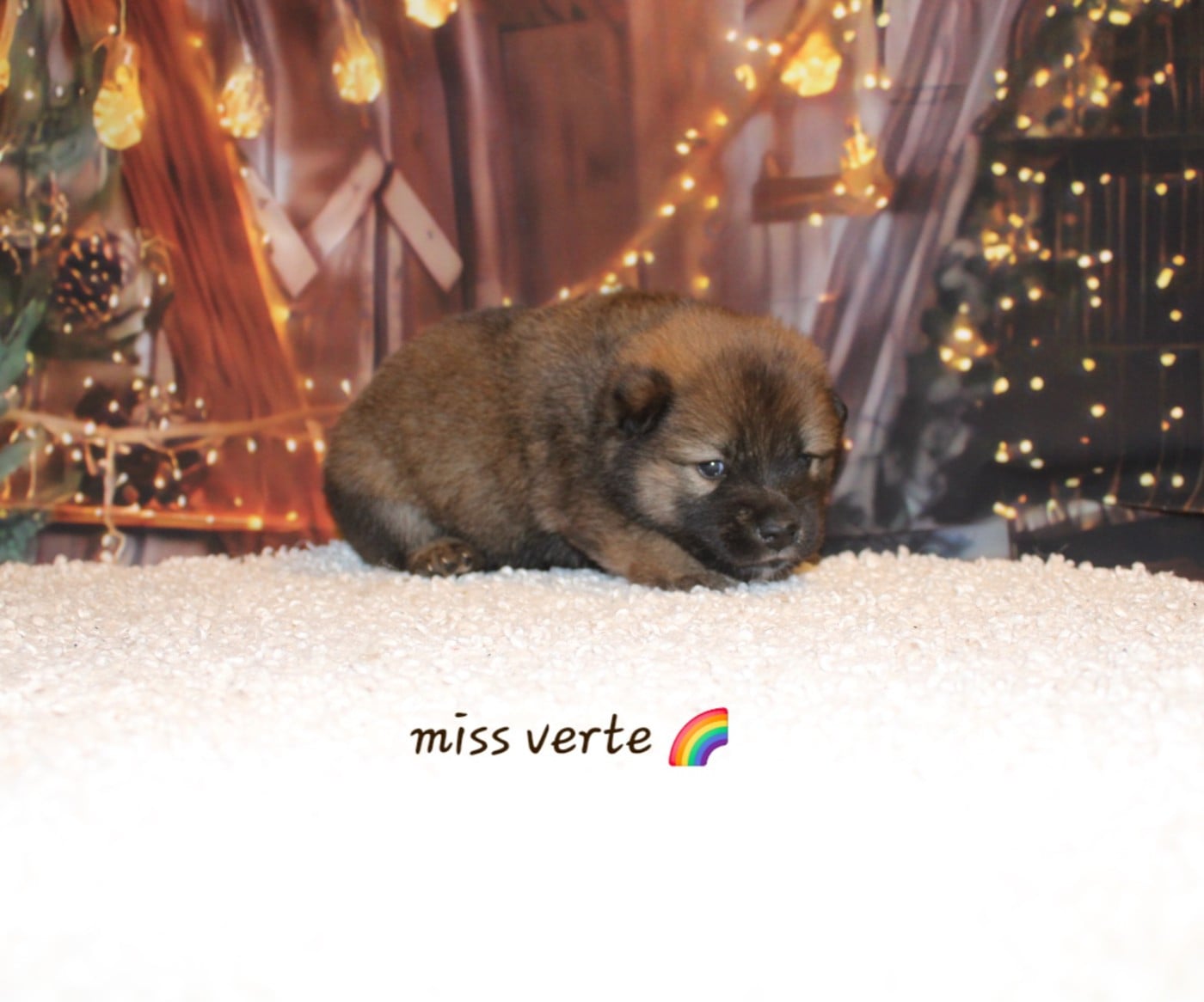 Miss Verte