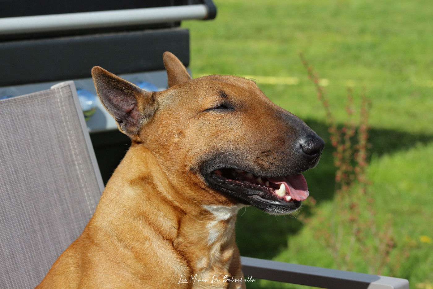 Toronto (Sans Affixe)