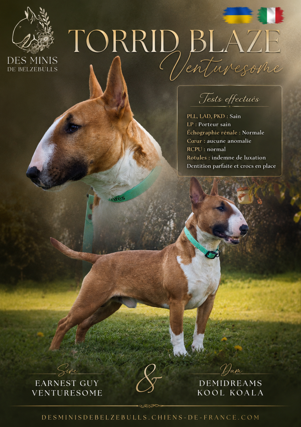 Publication : Des Minis De Belzebulls