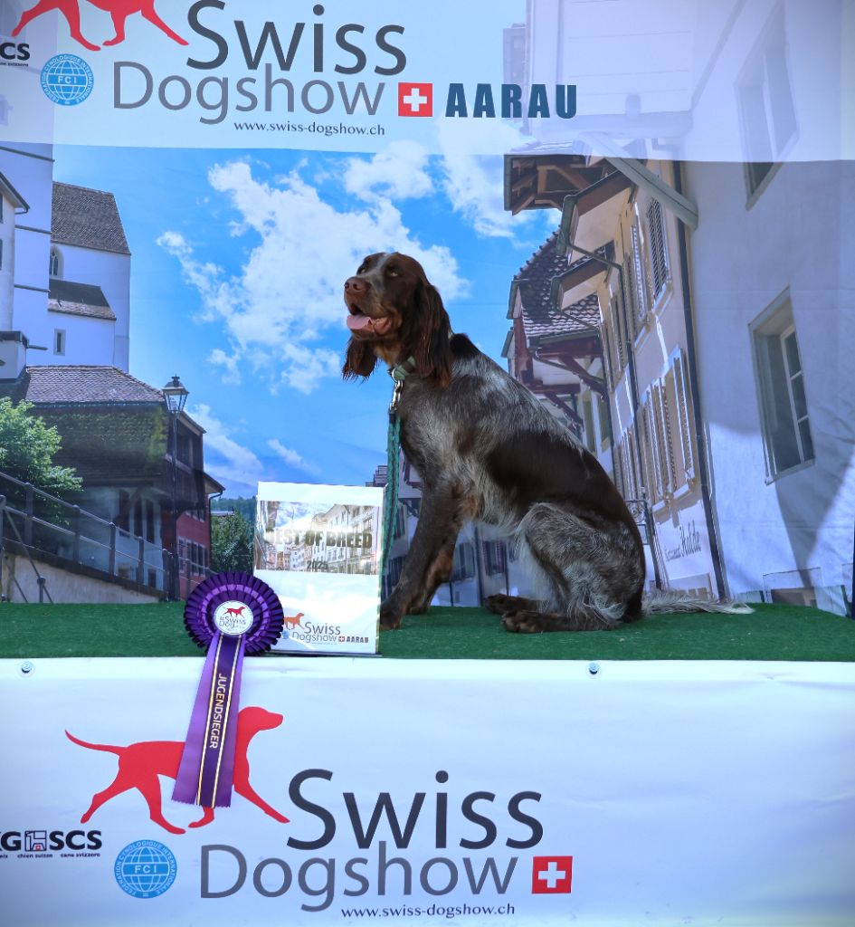 Velvet Du Domaine D'Iron - 1er excellent Jugend Alpensieger CAC-J CACIB-J et Meilleur de race