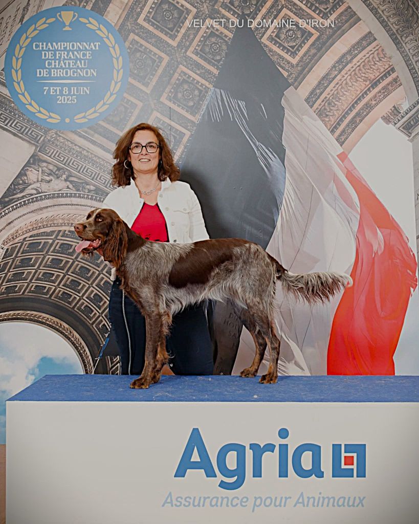 Velvet Du Domaine D'Iron - 1er excellent CACIB-J