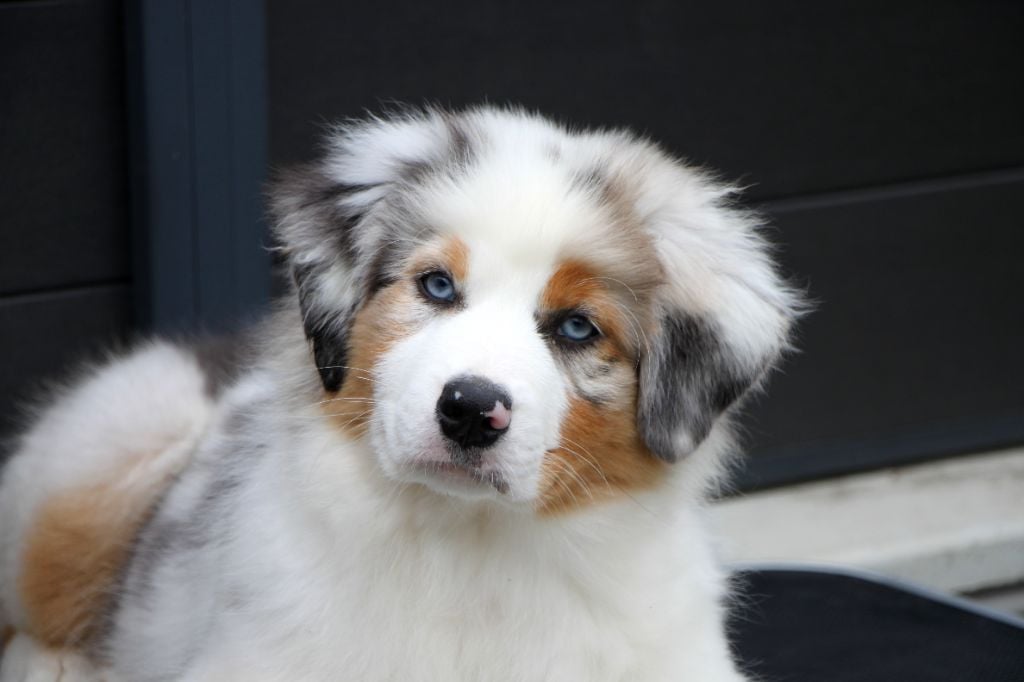 Arbane réserve précieuse dite "Alma"