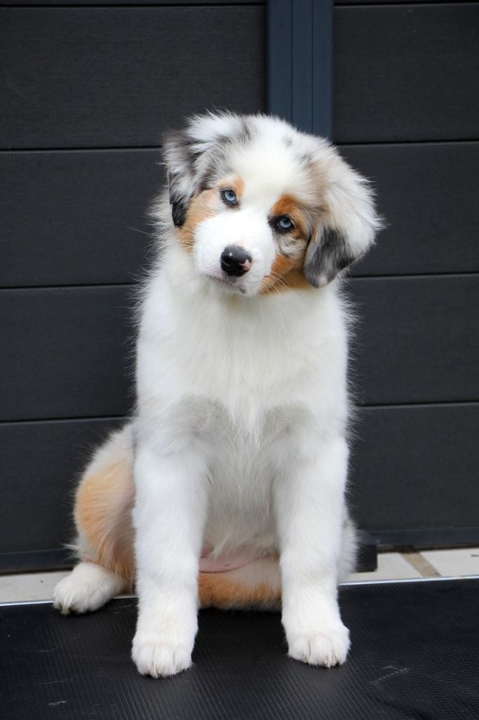 Arbane réserve précieuse dite "Alma"