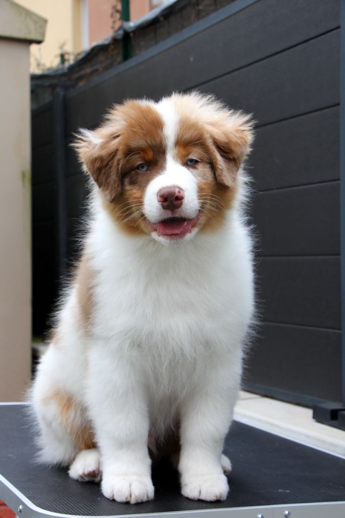 Amour Deutz dit "Zola"